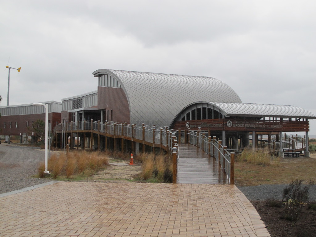 The Brock Environmental Center on a windy, rainy day in November. Photo: Alex Wilson